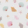 SPLASH CAP Little Shell